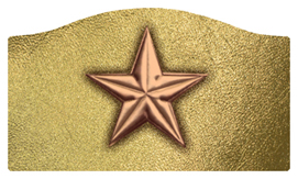 DASHELL-430-BZ-GD Star Bronze-Gold